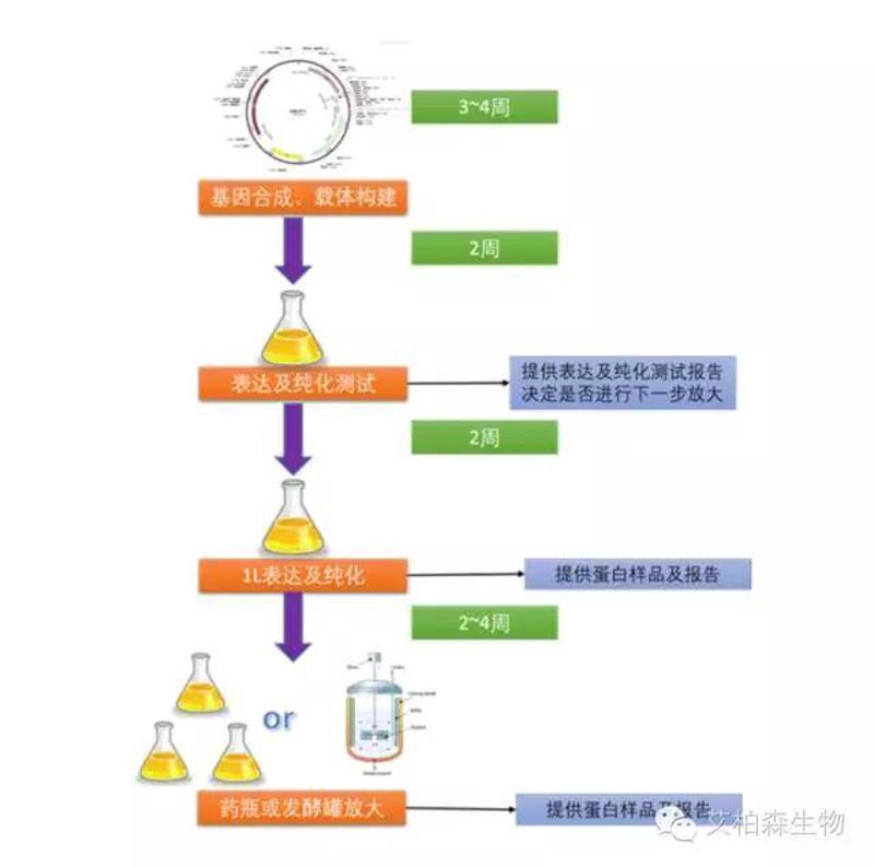 细胞治疗技术：开启精准医疗新时代